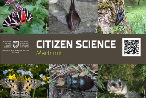 Im Rahmen des Citizen Science-Projekts können Sichtungen in Südtirol von ausgewählten Arten, die laut europäischer Fauna-Flora-Habitat-Richtlinie (FFH) bedroht, selten oder endemisch sind, gemeldet werden. (Collage: Landesamt für Natur)