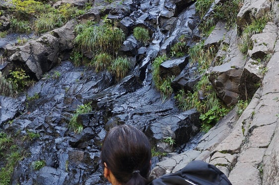 Entlang des Geologensteiges gibt es einiges zu sehen: Zum Beispiel eindrucksvolle Basaltsäulen, die entstehen, wenn ein Lavastrom zum Stillstand kommt und langsam abkühlt. (Foto: LPA/Landesamt für Natur)
