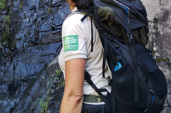 Entlang des Geologensteiges gibt es einiges zu sehen: Zum Beispiel eindrucksvolle Basaltsäulen, die entstehen, wenn ein Lavastrom zum Stillstand kommt und langsam abkühlt. (Foto: LPA/Landesamt für Natur)