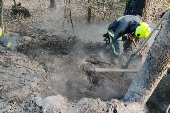 26 Mal brannte es heuer in einem Wald in Südtirol, die meisten Waldbrände wurden durch Fehlverhalten von Menschen ausgelöst. (Foto: LPA/Freiwillige Feuerwehr St. Pankraz)