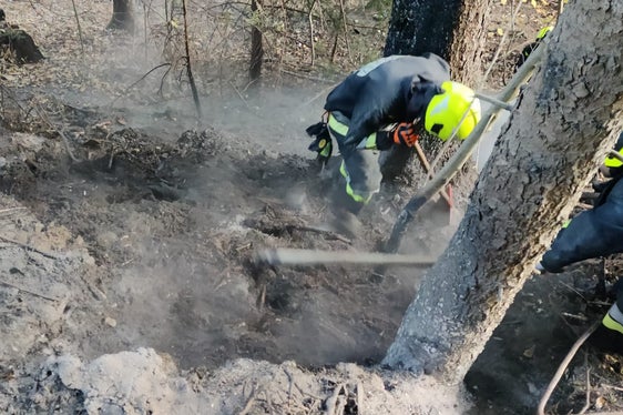 26 Mal brannte es heuer in einem Wald in Südtirol, die meisten Waldbrände wurden durch Fehlverhalten von Menschen ausgelöst. (Foto: LPA/Freiwillige Feuerwehr St. Pankraz)