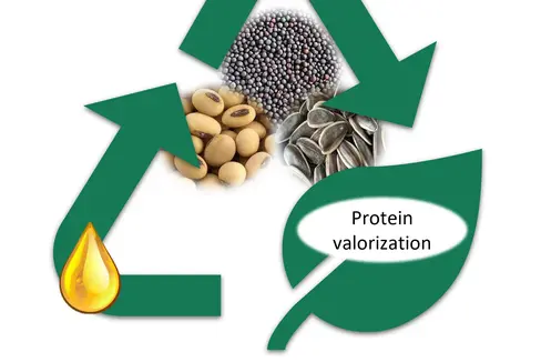 Wie mithilfe des neuen SCCO2-Verfahrens Proteine auf effizientere Weise gewonnen werden können, ist Gegenstand der Studie von Rodrigo Gonzales Ortega. (Foto: LPA)