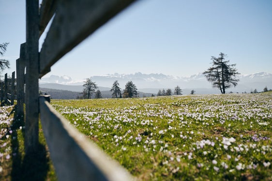 Umweltschutz wird nun in der italienischen Verfassung festgeschrieben. LR Vettorato dankt den lokalen Verbänden und Organisationen. Auch dank ihrer Arbeit im Laufe der Jahre sei dieser Wendepunkt erreicht worden. (Foto: IDM Südtirol/Manuel Ferrigato)