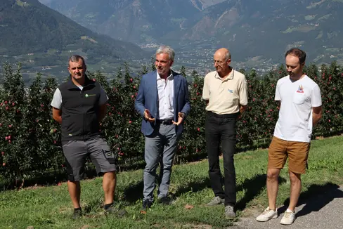 Beim Lokalaugenschein am Moarhof: (v.l.) Der Betriebsleiter des Agrarbetriebs Laimburg Stephan Raffl, Landesrat Arnold Schuler, der Leiter der Arbeitsgruppe Boden, Düngung und Bewässerung am Versuchszentrum Laimburg, Martin Thalheimer und Projektmitarbeiter Lorenzo Panizzon (Foto: LPA/Ressort Land- und Forstwirtschaft)