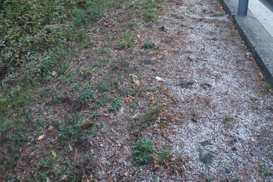 Nei pressi della chiesetta di San Giorgio lungo la strada per San Genesio l'Ufficio Bacini montani Nord ha avviato lavori di ulteriore protezione idraulica (Foto: ASP/Ufficio Bacini montani Nord)