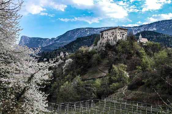 Foto del mese aprile 2025: una suggestiva foto di Castel Katzenzungen a Prissiano. (Foto: USP/Martin Geier)
