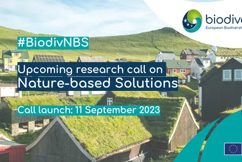 Progetti di ricerca su soluzioni basate sulla natura per proteggere il clima e la biodiversità saranno finanziati attraverso un nuovo bando di Biodiversa. La rete di ricerca, di cui l'Alto Adige fa parte, ha annunciato l'apertura del concorso per l'11 settembre.