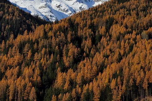 Il lento ma inesorabile passaggio dall'autunno all'inverno. Nella foto una splendida panoramica delle Alpi della Zillertal a San Pietro, in Valle Aurina (Foto: Lidwina Seeber)