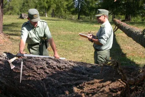 Quale corpo tecnico con funzioni di polizia, il Corpo forestale provinciale ha sempre indossato l'uniforme. In dotazione, per i comandanti di stazione, un nuovo distintivo d'ufficio (Foto: ASP/Corpo forestale provinciale)