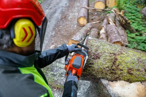Il potenziamento del Corpo permanente dei Vigili del fuoco e del Corpo forestale provinciale è sempre più vicino. Su proposta dell’assessora provinciale al Personale Magdalena Amhof, la Giunta provinciale ha approvato la firma dei nuovi contratti e lo stanziamento dei fondi necessari. (Foto: USP/Oskar Verant)