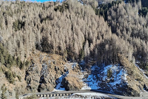 Ampie aree forestali in terreni molto ripidi e difficili nella gola della Val Badia, soprattutto nella zona boschiva di Plaies, sono state danneggiate da un'infestazione di bostrico. I lavori forestali vengono ora eseguiti in tre distinti fine settimana. (Foto: USP/Ispettorato forestale Brunico)