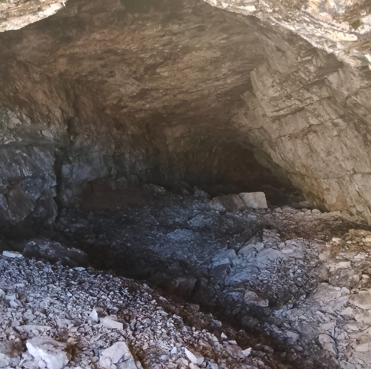 Unterhalb der Contruinesspitze und oberhalb der bereits bekannten Conturineshöhle wurde eine weitere Höhle mit einer sehr großen Anzahl von fossilen Skeletten des sogenannten Höhlenbären gefunden. (Foto: LPA/Landesdenkmalamt/Amt für Archäologie)