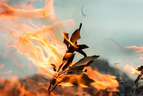 Per l’assenza di precipitazioni ed a causa del forte vento in alcune zone il rischio di incendi boschivi si presenta elevato (Foto: unsplash)