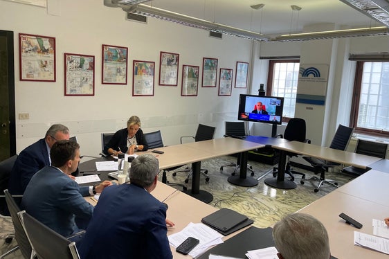 Beim Treffen waren verschiedene Vertreter der Regionen des Alpenbogens online zugeschaltet. (Foto: Regionenkonferenz)