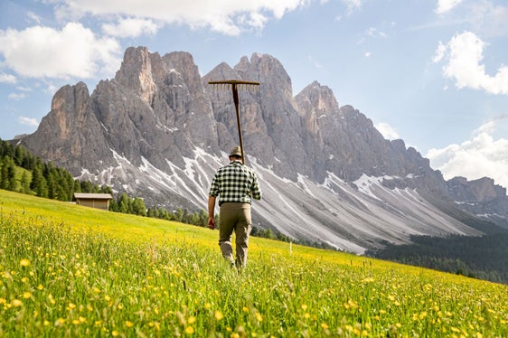 Nonostante il tetto ai posti letto, nelle aziende agrituristiche può essere aumentato fino a otto, o 15 se un familiare lavora nell'azienda. Questa la decisione adottata oggi dalla Giunta (Foto: IDM-Brimi/Marco Parisi)