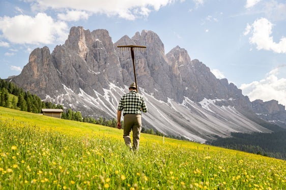 Nonostante il tetto ai posti letto, nelle aziende agrituristiche può essere aumentato fino a otto, o 15 se un familiare lavora nell'azienda. Questa la decisione adottata oggi dalla Giunta (Foto: IDM-Brimi/Marco Parisi)