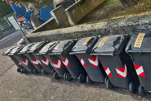 Nel 2020 in Alto Adige circa il 12 per cento di cibo in meno è stato gettato nella spazzatura rispetto all'anno precedente (Foto: ASP)