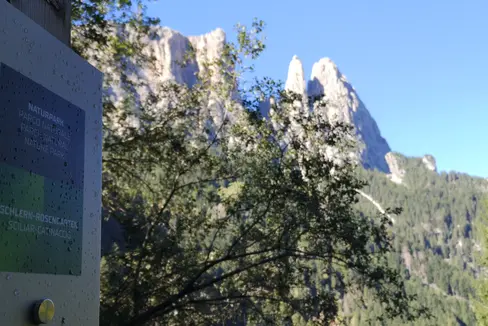 Con un linguaggio semplice, cinque pannelli lungo il rio Freddo richiamano l'attenzione sulle gemme geologiche presenti lungo il sentiero geologico, avvicinando così l'argomento ai neofiti della geologia (Foto: ASP/Ufficio provinciale Natura)