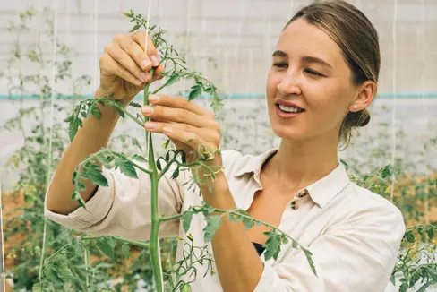 Für das Versuchszentrum Laimburg wird in Eyrs eine Teilzeitstelle als Land- und Forstwirtschaftsassistent oder Land- und Forstwirtschaftsassistentin unbefristet vergeben. (Foto: Pexels. Das Foto darf nur in Zusammenhang mit dieser Pressemitteilung verwendet werden.)