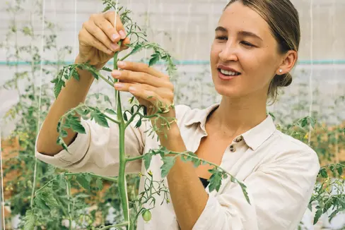 La sede di Oris del Centro di Sperimentazione Laimburg cerca un posto di assistente agrario e forestale part-time a tempo indeterminato. (Foto: Pexels. La foto può essere utilizzata solo per la pubblicazione a questo comunicato stampa).