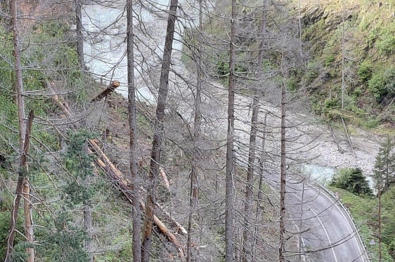 Die Situation der Wälder in der Gadertaler Schlucht ist sehr schwierig, große Waldflächen in sehr steilem und schwierigem Gelände sind durch Borkenkäferbefall geschädigt, vor allem in den beiden Hauptbereichen von Montal in der Gemeinde St. Lorenzen bis Zwischenwasser in der Gemeinde Enneberg und zwischen Zwischenwasser und Pikolein in der Gemeinde St. Martin in Thurn. Nun wurden borkenkäfergeschädigte Bäume entfernt. (Foto: LPA/Forstinspektorat Bruneck/Forststation St. Vigil in Enneberg)