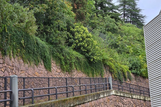 I lavori ormai conclusi in via Fago a Bolzano hanno aumentato la protezione contro la caduta di massi. (Foto: USP/Agenzia Demanio provinciale)