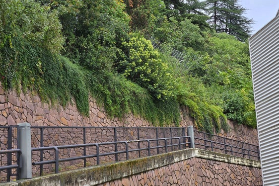 I lavori ormai conclusi in via Fago a Bolzano hanno aumentato la protezione contro la caduta di massi. (Foto: USP/Agenzia Demanio provinciale)