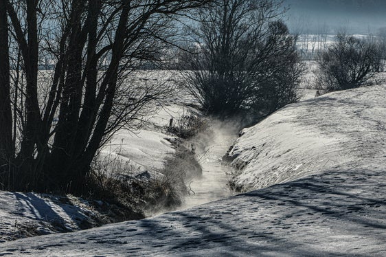 Bild des Monats Dezember: Wiesen/Pfitsch im Morgentau (Foto: Martin Geier)
