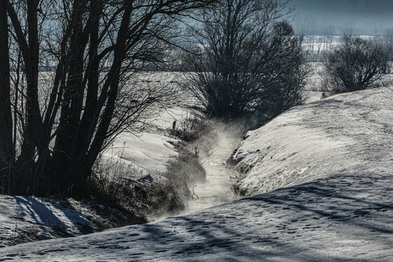 Bild des Monats Dezember: Wiesen/Pfitsch im Morgentau (Foto: Martin Geier)