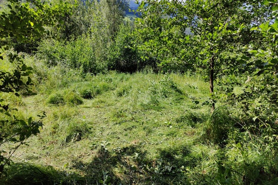 Il biotopo Taufner Au é una delle riserve naturali più apprezzate in Val Venosta. (Foto: ASP/Ufficio Natura)