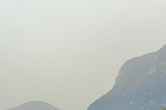 Die Schafe, begleitet von Hirtenhunden und Herdenschutzhunden, einigen Ziegen und einem Esel, grasen derzeit im Abschnitt der Etsch südlich von Neumarkt. (Foto: LPA/Landesamt für Wildbach- und Lawinenverbauung Süd)