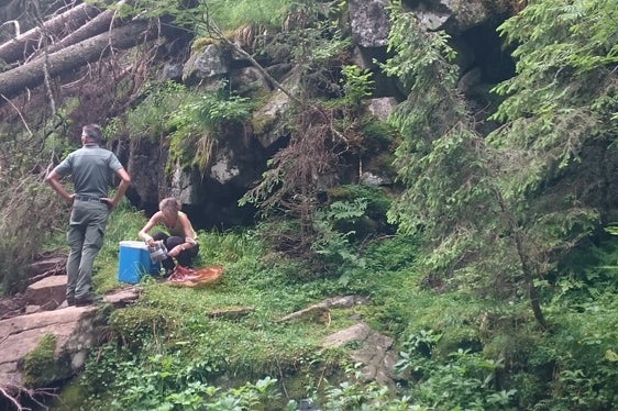 Probenahme bei Barbian: Seit über 25 Jahren beteiligt sich das Biologische Labor an dem europäischen Monitoring von Schadstoffkonzentrationen in Moosen. (Foto: LPA/Landesagentur für Umwelt und Klimaschutz)