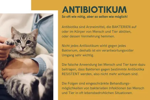 Mit einer Flyeraktion sensibilisieren Landesveterinärdienst und der tierärztliche Dienst des Sanitätsbetriebs Haustierhalterinnen und Haustierhalter für einen verantwortungsbewussten Umgang mit Antibiotika. (Foto: LPA)