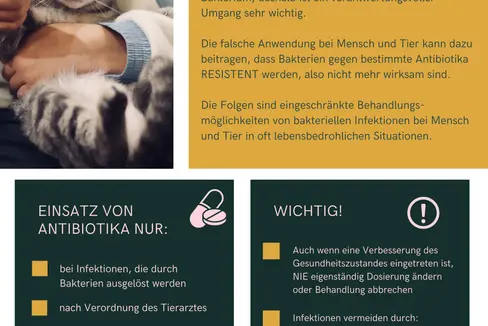 Mit einer Flyeraktion sensibilisieren Landesveterinärdienst und der tierärztliche Dienst des Sanitätsbetriebs Haustierhalterinnen und Haustierhalter für einen verantwortungsbewussten Umgang mit Antibiotika. (Foto: LPA)