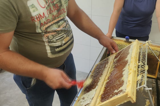 Imparare a maneggiare le attrezzature necessarie per l'apicoltura è uno degli aspetti più importanti di questa attività. (Foto: Istituto tecnico Laimburg/Klaus Blasbichler)