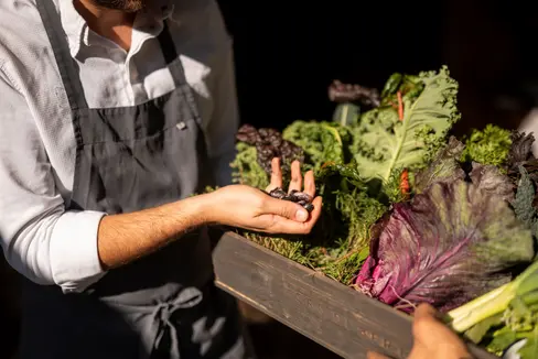 An der italienischsprachigen Hotelfachschule Cesare Ritz in Meran ist vor Kurzem ein Lehrgang für Diätköchinnen und Diätköche gestartet. (Foto: IDM Südtirol/Patrick Schwienbacher)