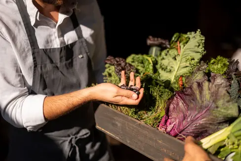 Mangiare sano, con una dieta equilibrata e calibrata. Seguendo questi principi la scuola Ritz di Merano ha avviato il nuovo corso dedicato ai cuochi e alle cuoche specializzati in cucina dietetica. (Foto: IDM Alto Adige/Patrick Schwienbacher).