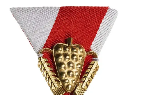 Die Verdienstmedaillen des Landes Tirol werden am 15. August verliehen. (Foto: Land Tirol/Die Fotografen)