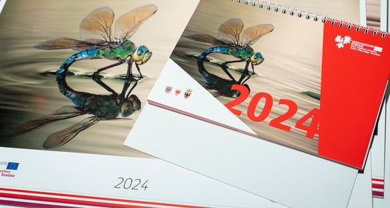 Die Gewinnerfotos werden im Euregio-Kalender 2025 abgedruckt. Wie in den Vorjahren (im Bild 2024) erscheint dieser als Wand- und Tischkalender. (Foto: LPA/Fabio Brucculeri)
