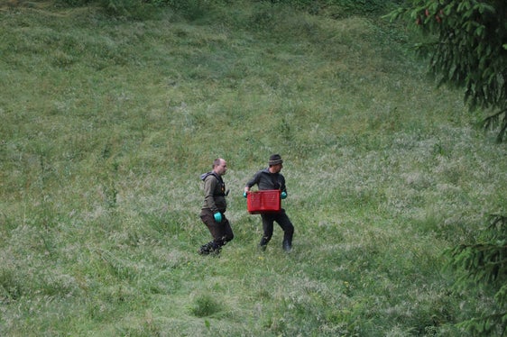 Die ausfindig gemachten Rehkitze werden in Kisten an den Wiesenrand gebracht und wieder freigelassen, wenn keine Gefahr mehr droht. (Foto: LPA/Südtiroler Jagdverband/Jagdrevier St. Andrä-Afers)