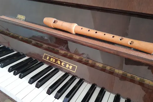 In seguito all'approvazione di una bozza di delibera sull'introduzione del nuovo ordinamento degli studi delle Scuole di musica tedesche e ladine, verranno modificate anche le tariffe di noleggio degli strumenti: se uno strumento costa meno di 400 euro, la tariffa di noleggio sarà ridotta. In precedenza, la tariffa era indipendente dal prezzo dello strumento. (Foto: USP/Maja Clara)