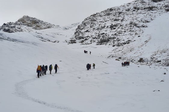 Escursione sul ghiacciaio: salita al ghiacciaio di Solda (Foto: USP/Susanne Hellrigl/Direzione Istruzione e Formazione tedesca)