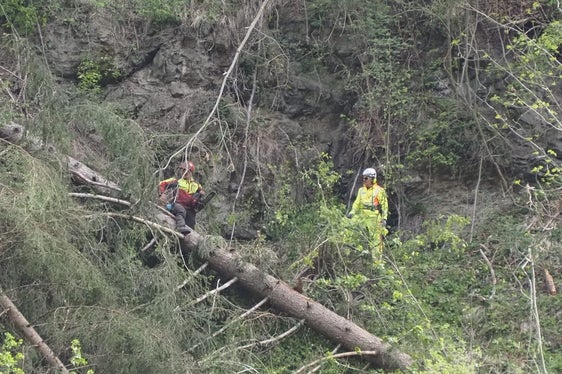Zwischen Ende April und Mitte Mai hat eine spezialisierte Holzschlägerungsfirma die nötigen Abholzungsarbeiten in der Gadertaler Schlucht durchgeführt, beginnend bei den gefährlichsten Flächen. (Foto: LPA/Forstinspektorat Bruneck/Forststation St. Vigil in Enneberg)
