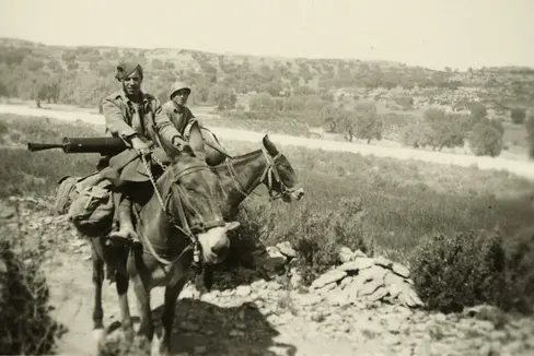 Bild aus dem fotografischen Nachlass von Wilhelm Schrefler, seit 1935 Guglielmo Sandri: Italienische Soldaten auf Maultieren, die auch zum Transport von Maschinengewehren dienten. (LPA/Landesarchiv)