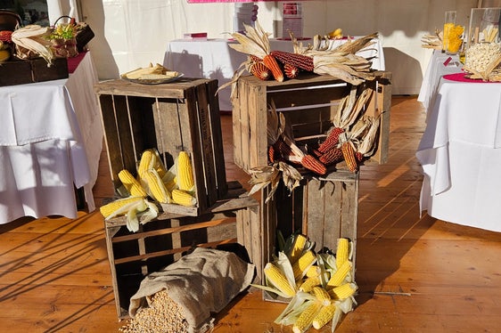 Wissen über Mais: Welche Maissorten eignen sich für Polenta, welche für Popcorn, und welche Besonderheiten gibt es in den regionalen Varianten? Stand der Fachschule für Hauswirtschaft und Ernährung Haslach beim Erntedankfest auf dem Bozner Waltherplatz am 11. Oktober. (Foto: LPA/Fachschule für Hauswirtschaft und Ernährung Haslach)