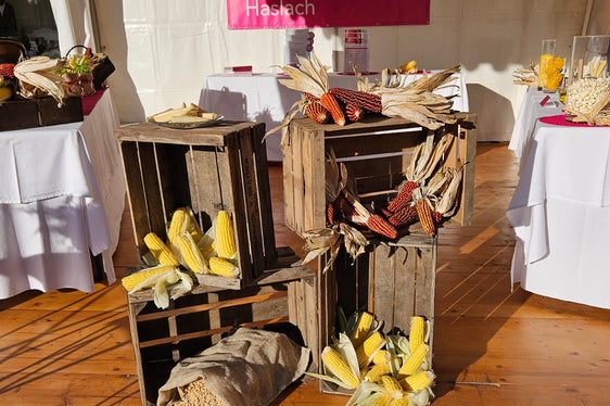 Wissen über Mais: Welche Maissorten eignen sich für Polenta, welche für Popcorn, und welche Besonderheiten gibt es in den regionalen Varianten? Stand der Fachschule für Hauswirtschaft und Ernährung Haslach beim Erntedankfest auf dem Bozner Waltherplatz am 11. Oktober. (Foto: LPA/Fachschule für Hauswirtschaft und Ernährung Haslach)