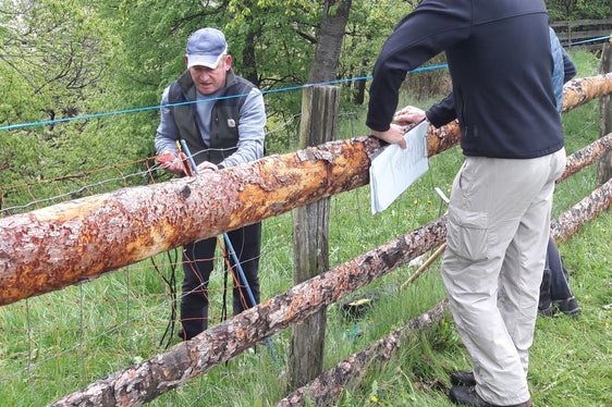 Die Inhalte reichen vom Umgang mit Tieren und Tiergesundheitsthemen über das aktuelle Thema Herdenschutz bis hin zu nachhaltiger Weideführung und wurden bei der Abschlussprüfung abgefragt. (Foto: LPA/Fachschule für Land- und Hauswirtschaft Salern)