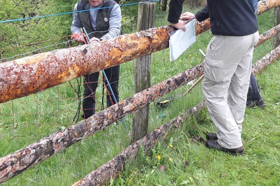 Die Inhalte reichen vom Umgang mit Tieren und Tiergesundheitsthemen über das aktuelle Thema Herdenschutz bis hin zu nachhaltiger Weideführung und wurden bei der Abschlussprüfung abgefragt. (Foto: LPA/Fachschule für Land- und Hauswirtschaft Salern)