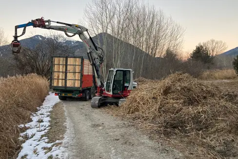 Nel biotopo Reiermoos sono in corso lavori di manutenzione. Schuler: importanti per la tutela della biodiversità (Foto: ASP/Ispettoratore forestale di Bressanone)