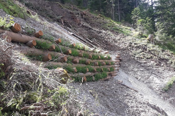 Archité la smöia y sistemé le terac tles vijinanzes dl Rü de Ciamplorët é i fins dla costruziun de proteziun fata sö da pert de Chi dai Rüs tl Comun de La Val. (Foto:USP/Ofize Sistemaziun di rüs da munt ost)